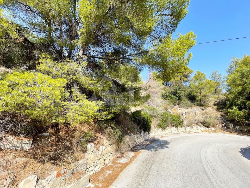 Pozemek   v Calpe, - IMBR100283 - Foto - 5