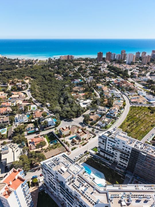 3 bedroom Villa in Dehesa de Campoamor - RP141423 - Photo - 15