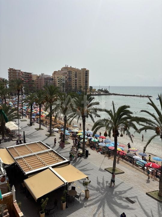 3 bedroom Apartment in Torrevieja - SHL101735 - Photo - 17