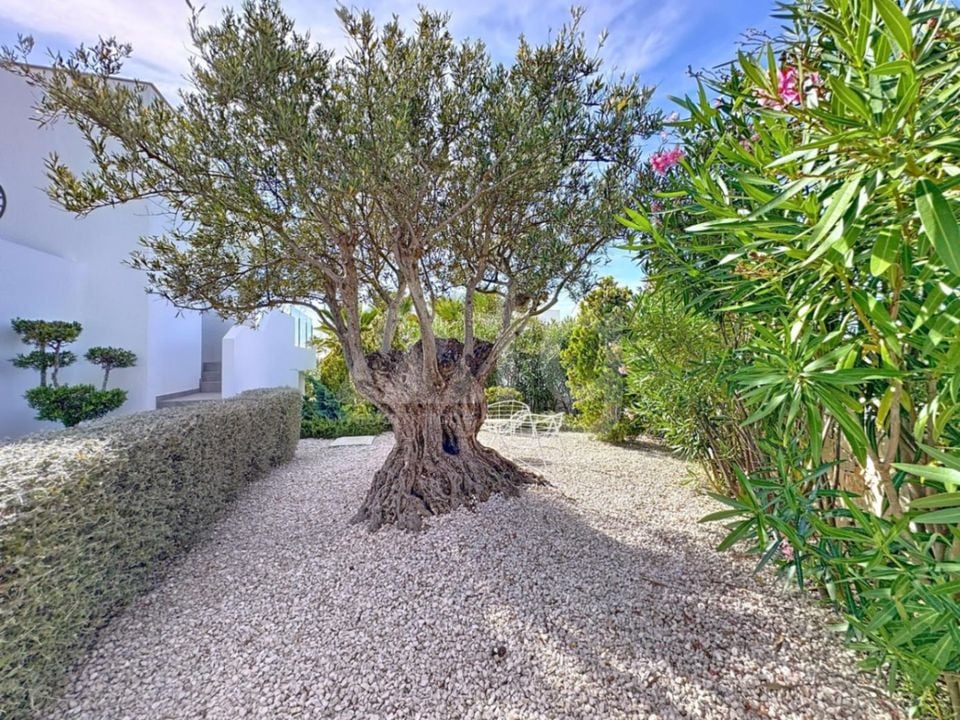 3 bedroom Villa in Benitachell - CDS101832 - Photo - 41