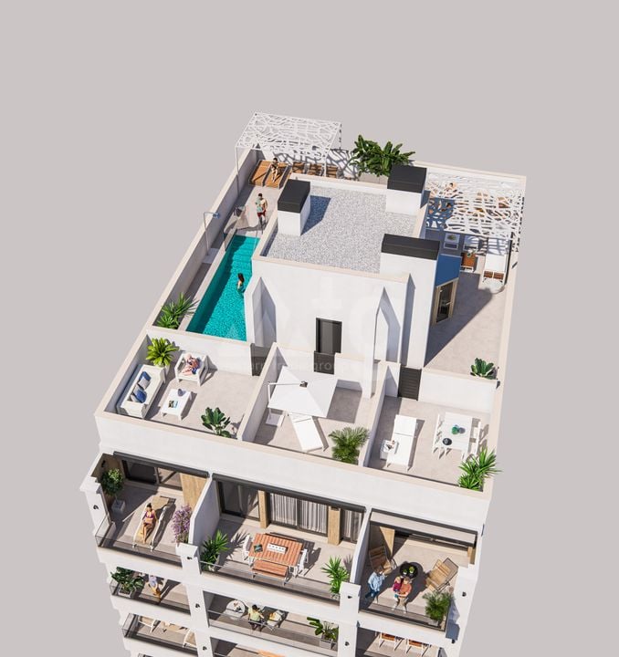 2 bedroom Apartment in Torrevieja - VIG142306 - Photo - 2