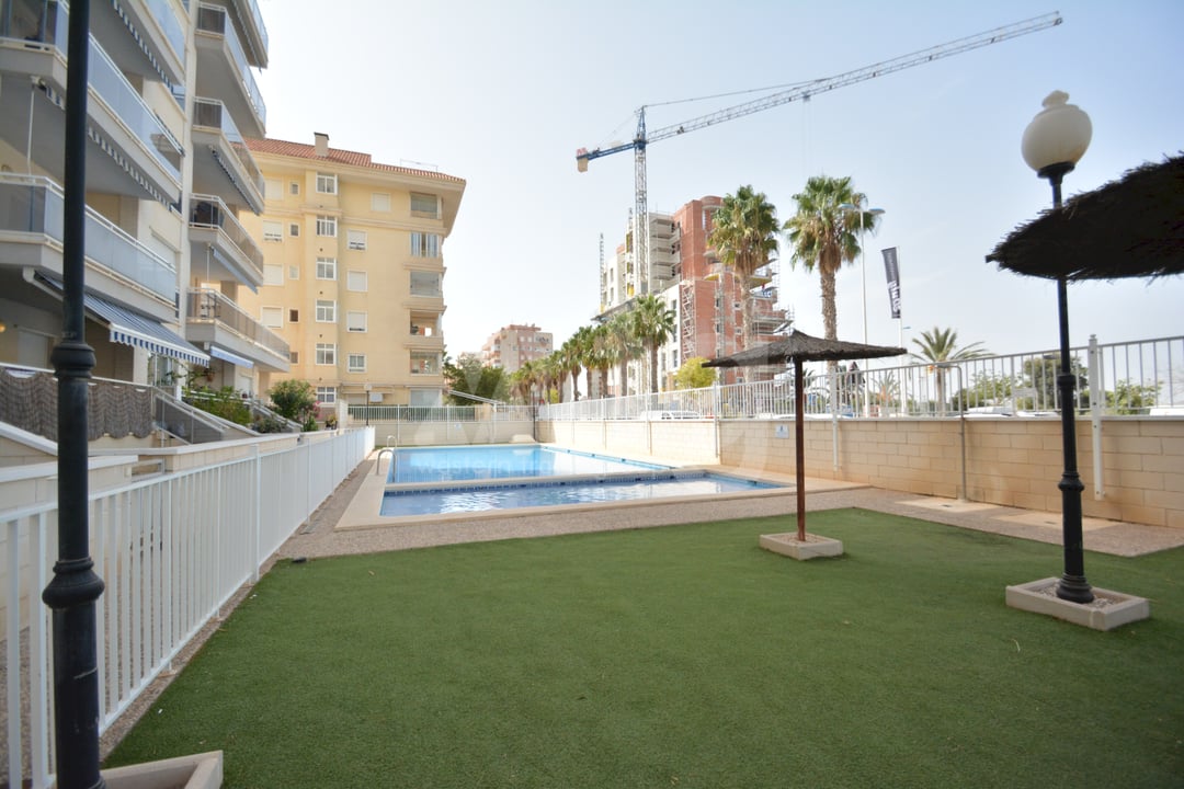 2 bedroom Apartment in Guardamar del Segura - LCP105027 - Photo - 19
