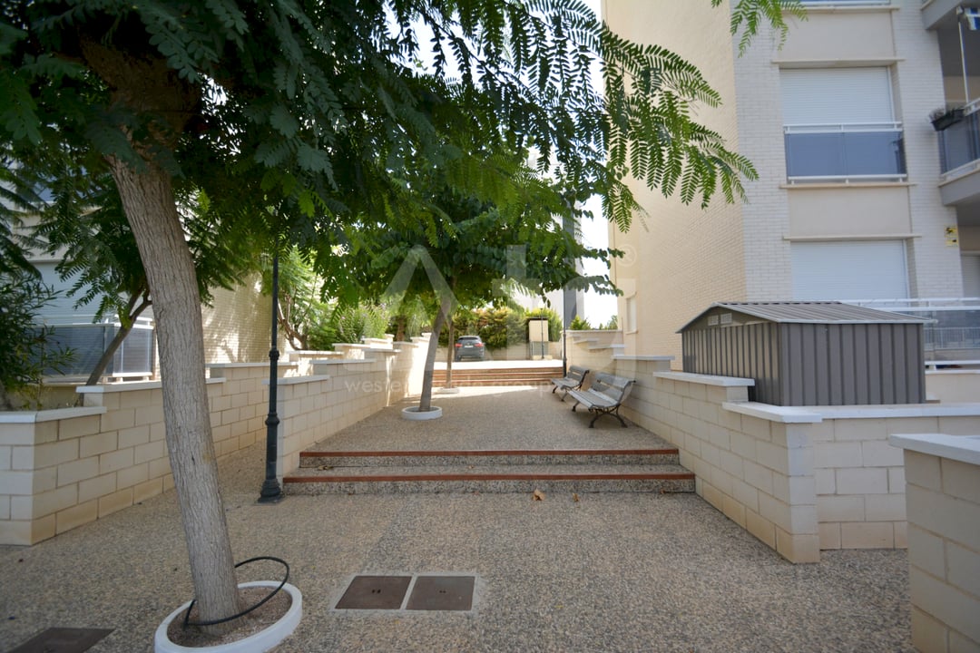 2 bedroom Apartment in Guardamar del Segura - LCP105027 - Photo - 23