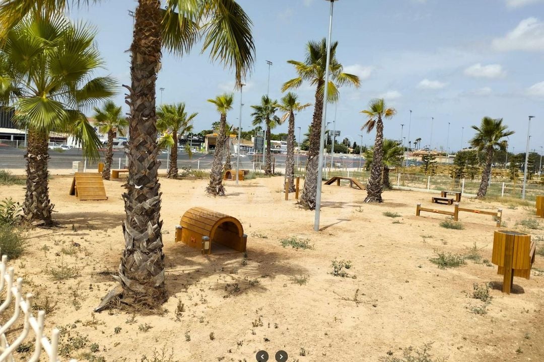 Villa de 5 chambres à Torrevieja - SV153257 - Photo - 36