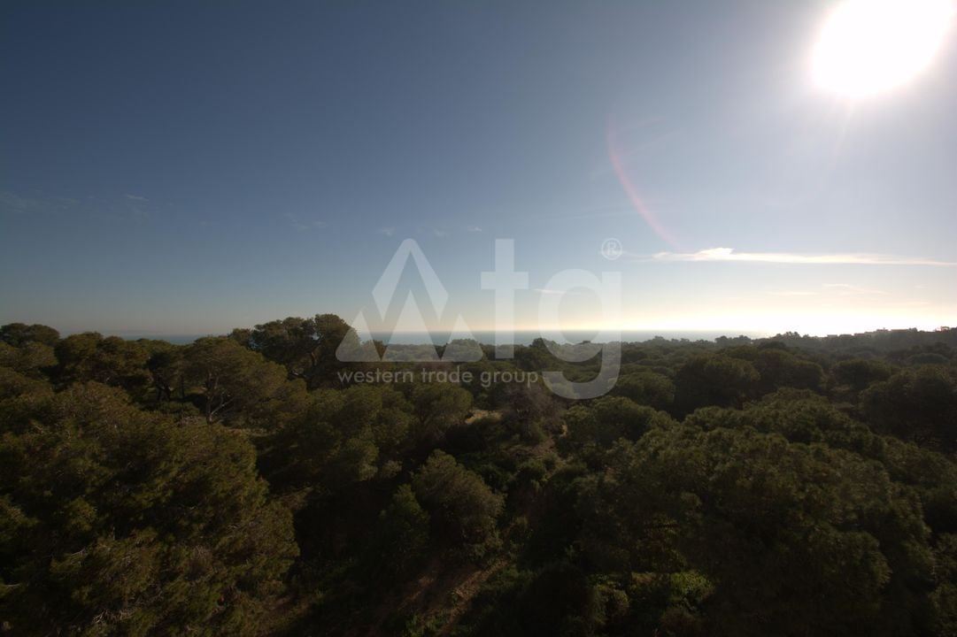 3 bedroom Apartment in Guardamar del Segura - LCP147300 - Photo - 13