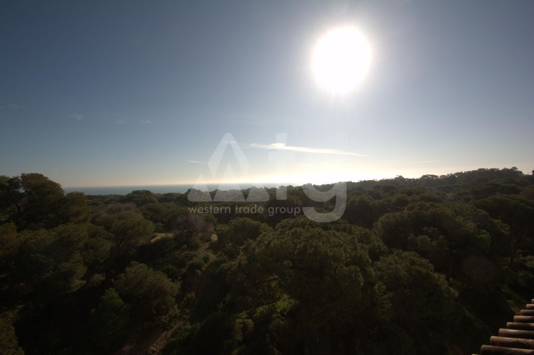 3 bedroom Apartment in Guardamar del Segura - LCP147300 - Photo - 14