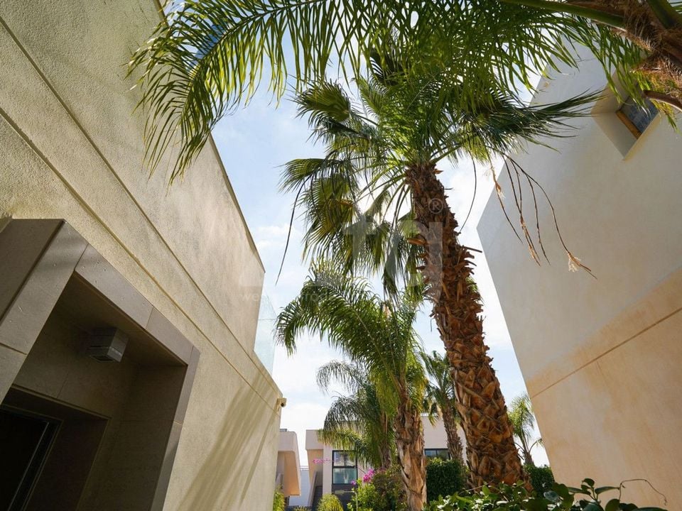 3 bedroom Villa in Ciudad Quesada - TWTG147980 - Photo - 38