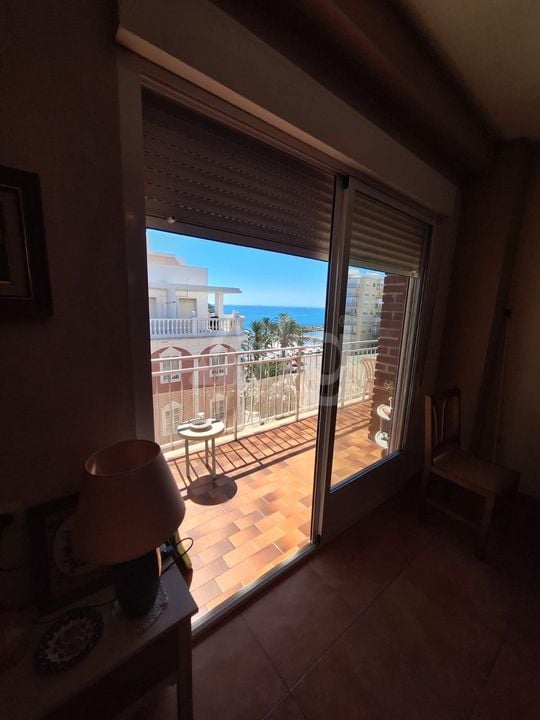 4 bedroom Apartment in Torrevieja - SHL106450 - Photo - 22