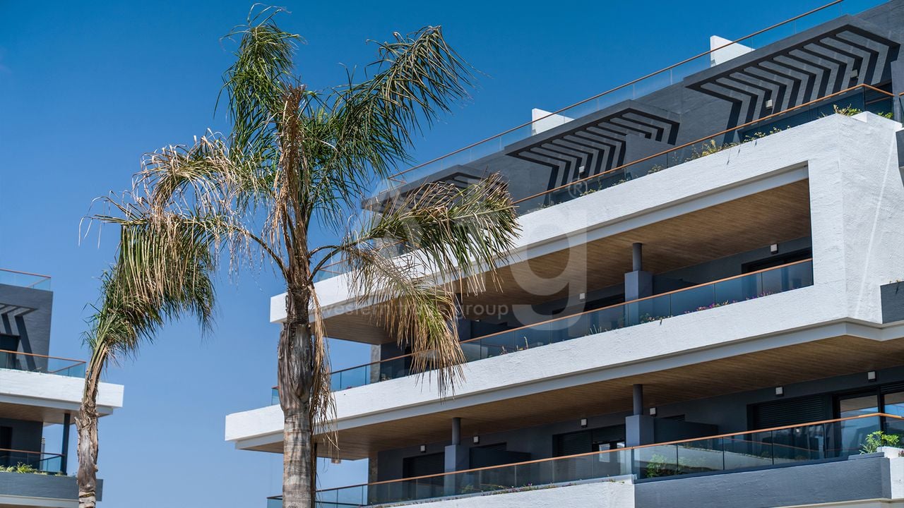 Apartamento de 2 habitaciones en Torrevieja - IGM148021 - Foto - 27