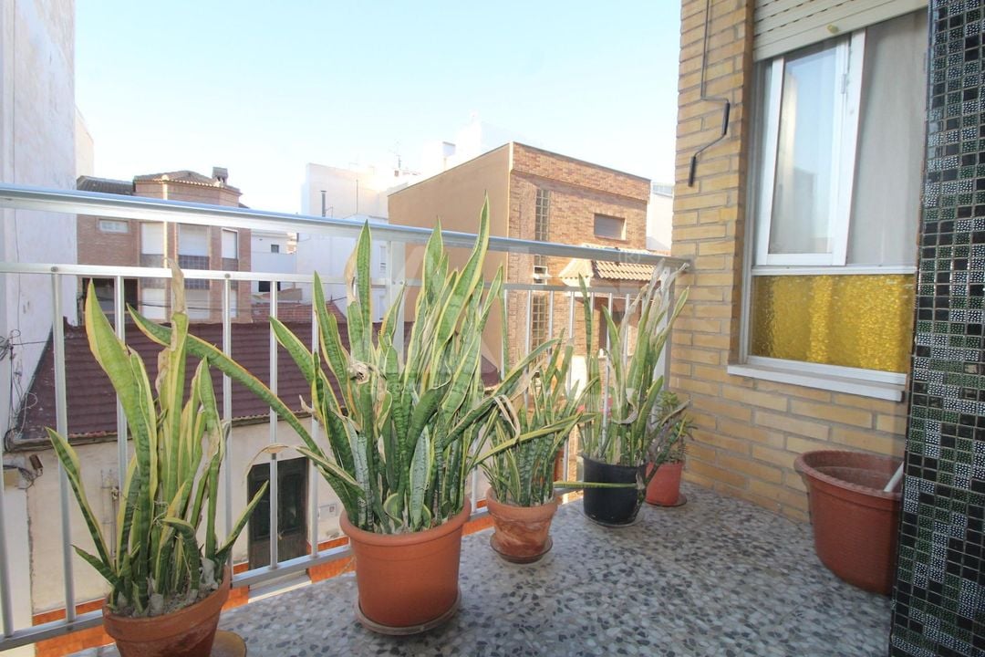 Appartement de 4 chambres à Torrevieja - ALM107588 - Photo - 21
