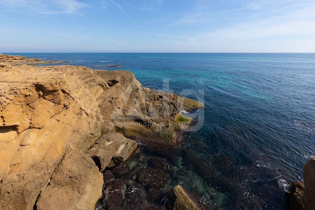 2 bedroom Apartment in La Mata - GVS109651 - Photo - 28