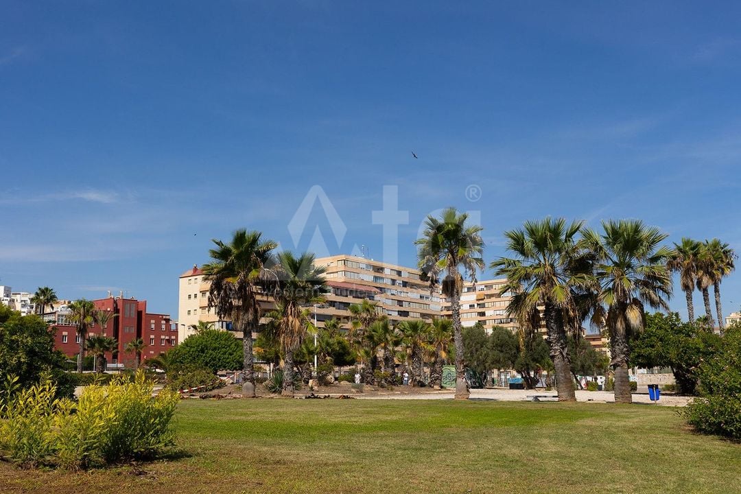 2 bedroom Apartment in La Mata - GVS109651 - Photo - 23