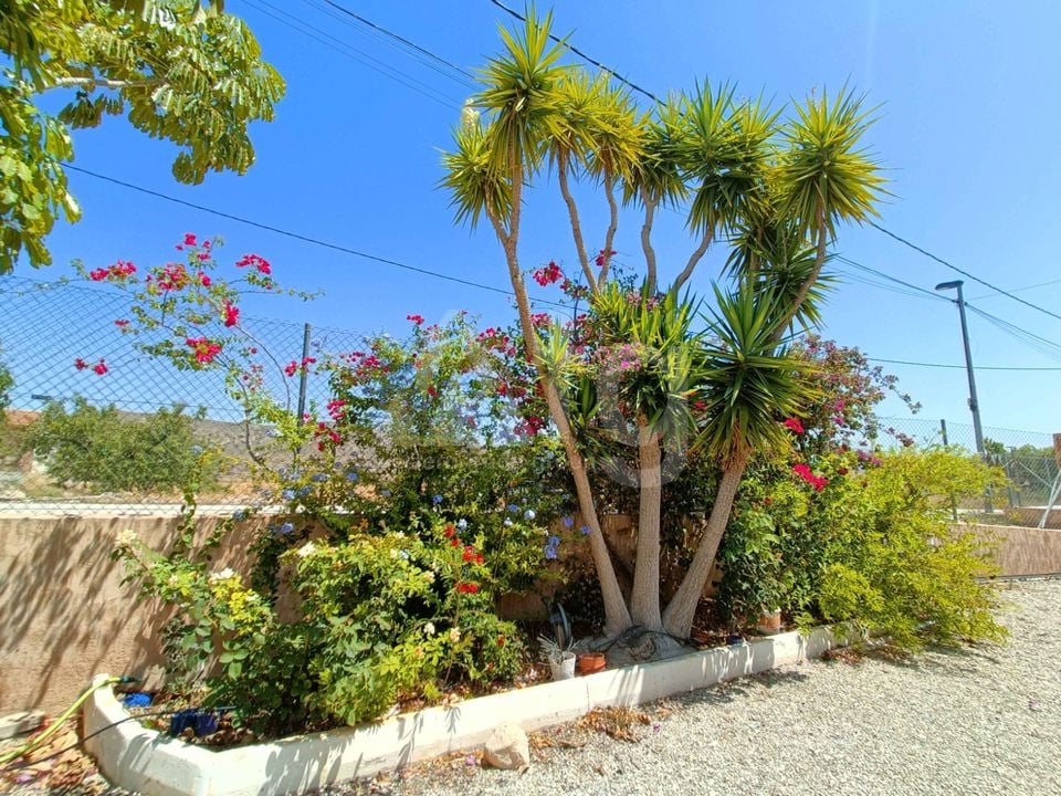 5 bedroom Villa in Abanilla - CNM150024 - Photo - 33