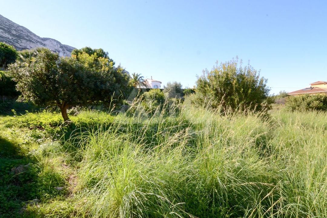 Pozemek   v Denia, - EGH109939 - Foto - 5