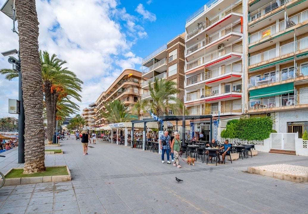 Appartement de 3 chambres à Torrevieja - CBB110454 - Photo - 1
