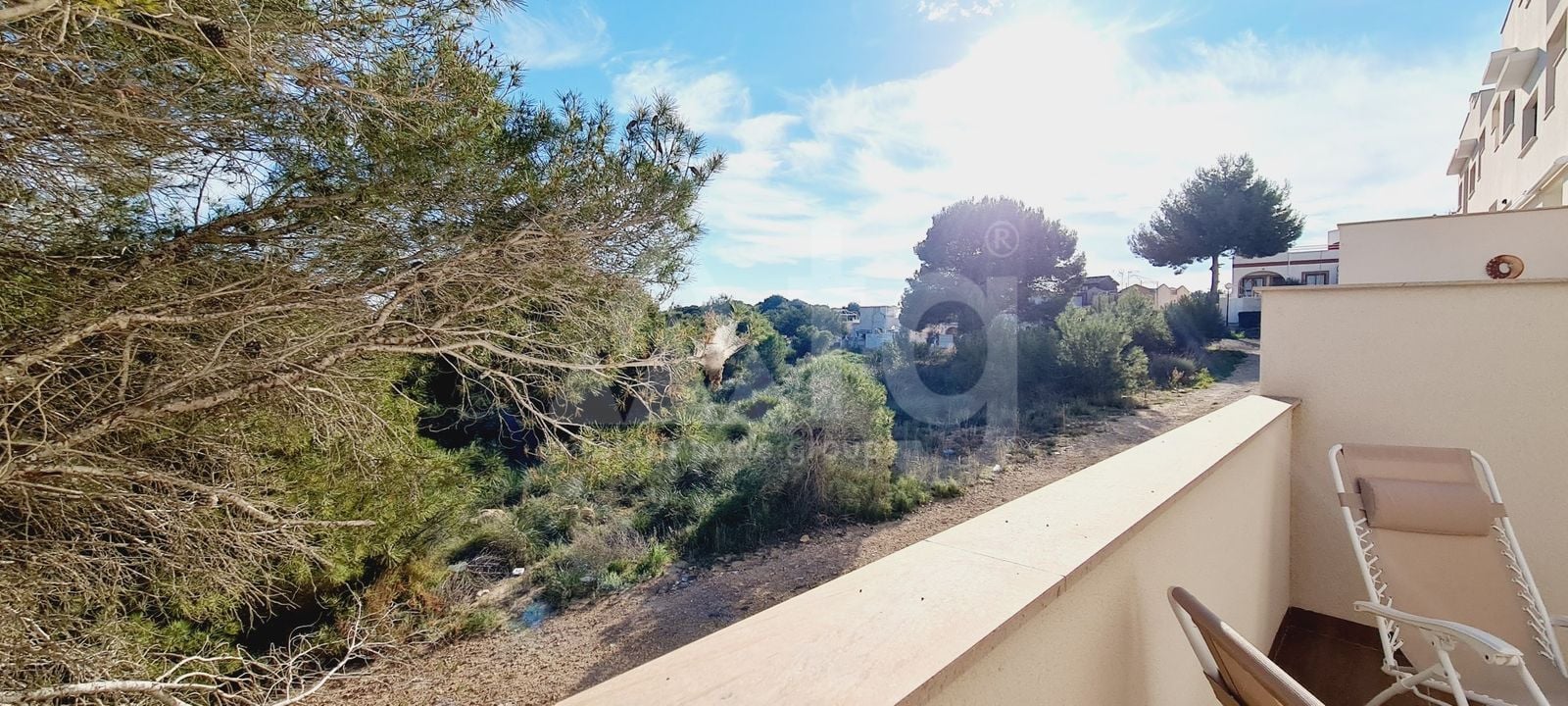 2 bedroom Bungalow in Torrevieja - ERV110961 - Photo - 20