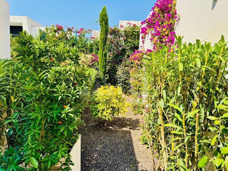 2 bedroom Villa in Algorfa - CBW111122 - Photo - 19
