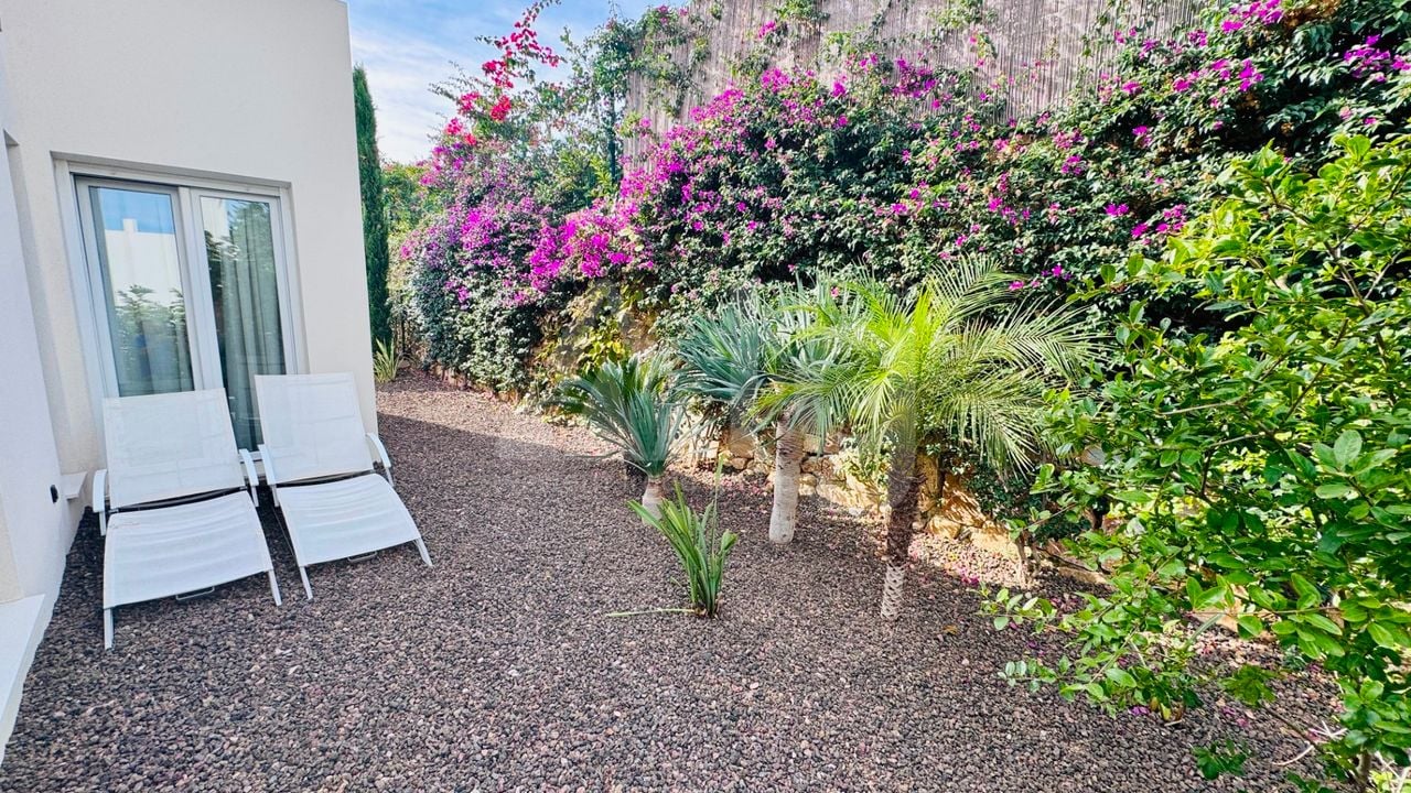 2 bedroom Villa in Algorfa - PR145940 - Photo - 29