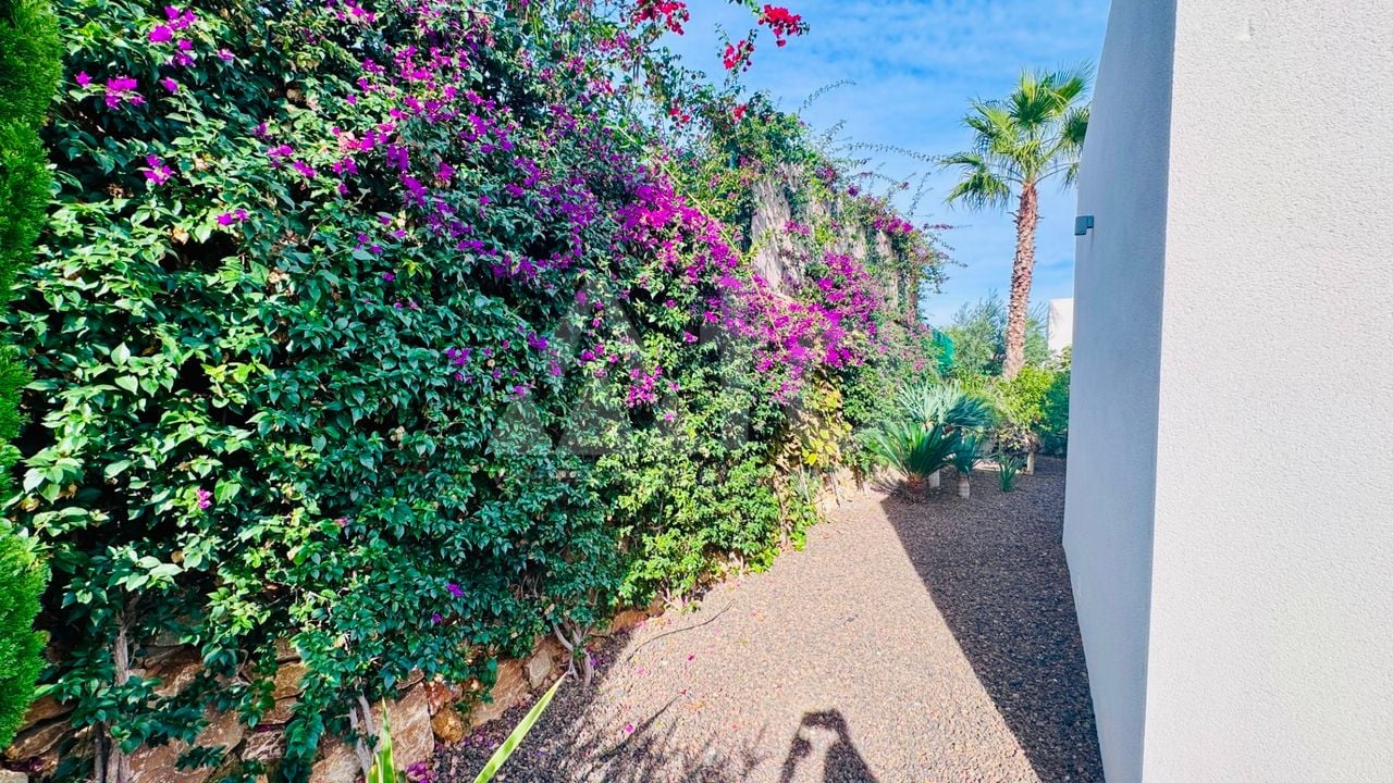 2 bedroom Villa in Algorfa - PR145940 - Photo - 30