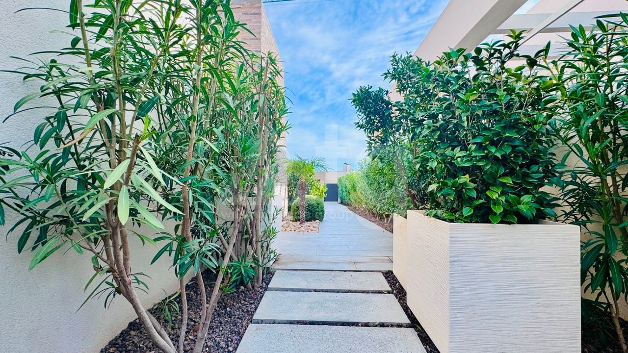 2 bedroom Villa in Algorfa - PR145940 - Photo - 31