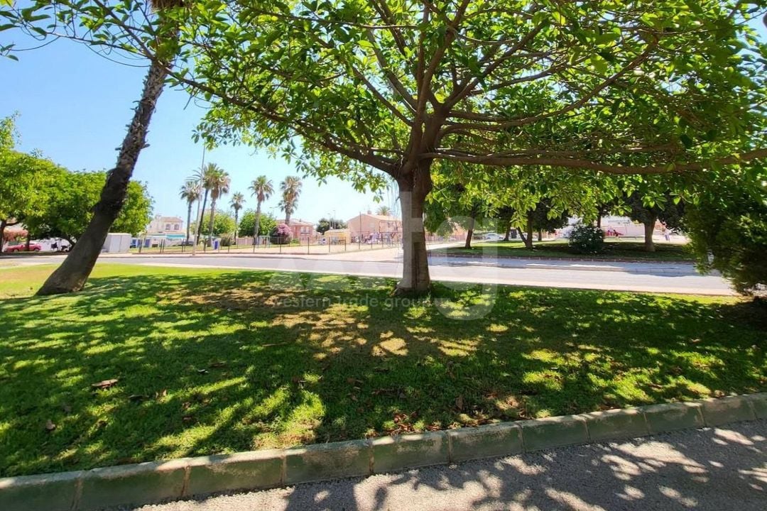 2 bedroom Apartment in Torrevieja - SV126688 - Photo - 22