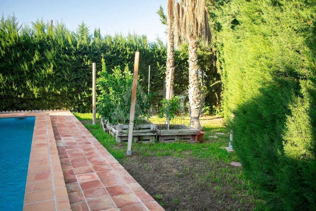 Villa de 5 chambres à Murcia - SV113980 - Photo - 45