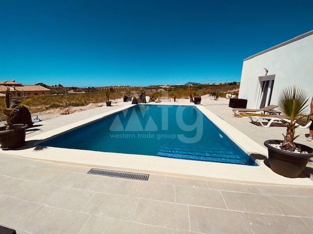 Villa de 3 chambres à Abanilla - CVS30964 - Photo - 3
