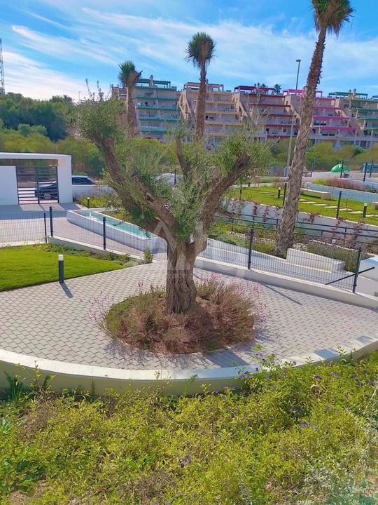 2 bedroom Apartment in Orihuela - RCJ147730 - Photo - 16