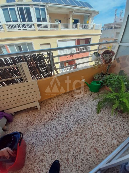 Appartement de 3 chambres à Torrevieja - TT114986 - Photo - 13