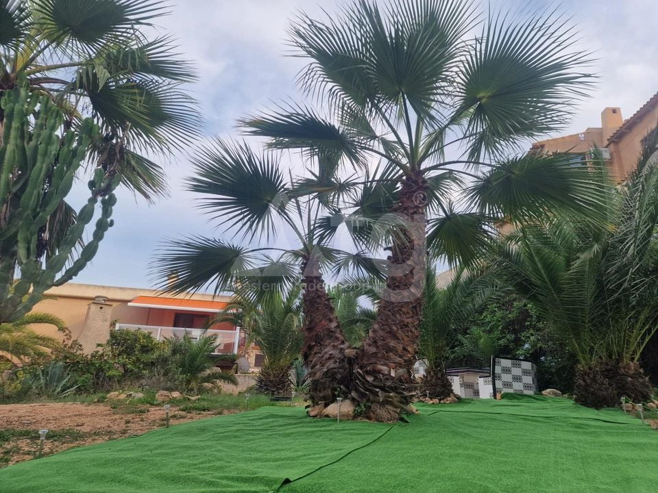 2 bedroom Bungalow in Torrevieja - VEC115177 - Photo - 1