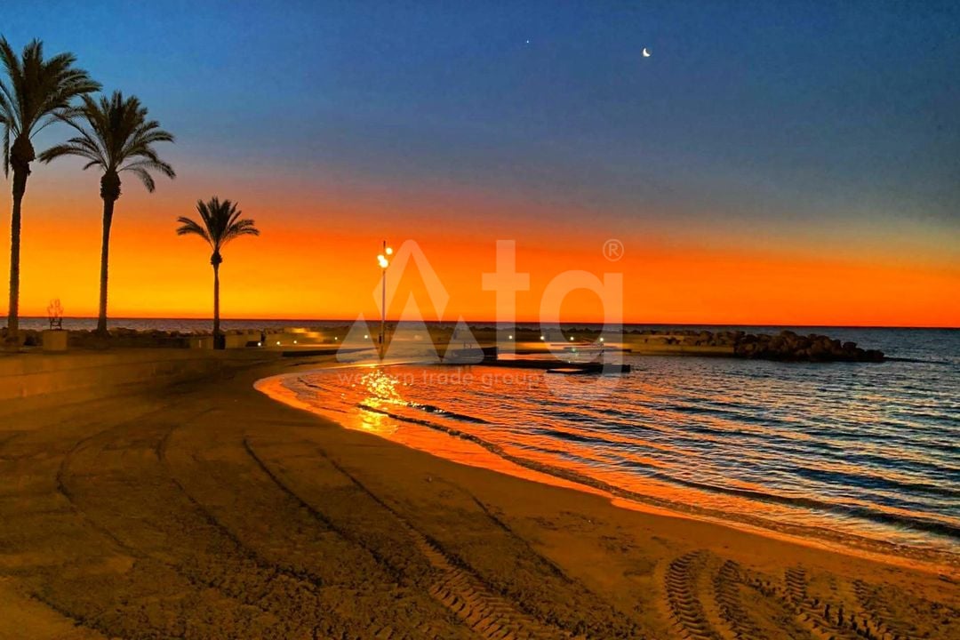 3 bedroom Penthouse in Torrevieja - SV135351 - Photo - 40