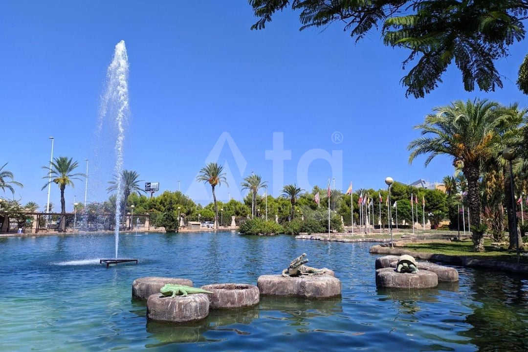 2 bedroom Penthouse in Torrevieja - SV138611 - Photo - 39