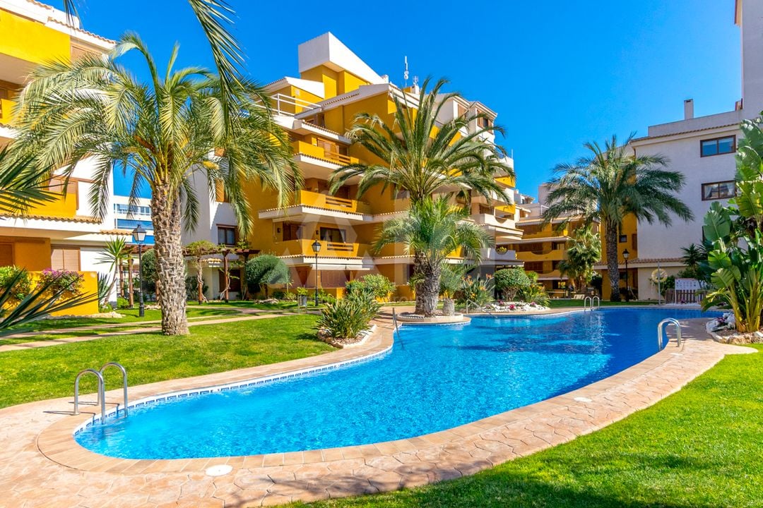 2 bedroom Apartment in Torrevieja - B135926 - Photo - 3