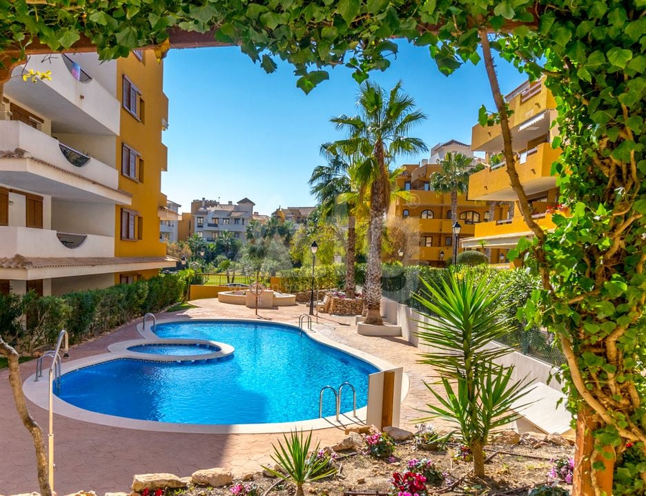2 bedroom Apartment in Torrevieja - B135926 - Photo - 35