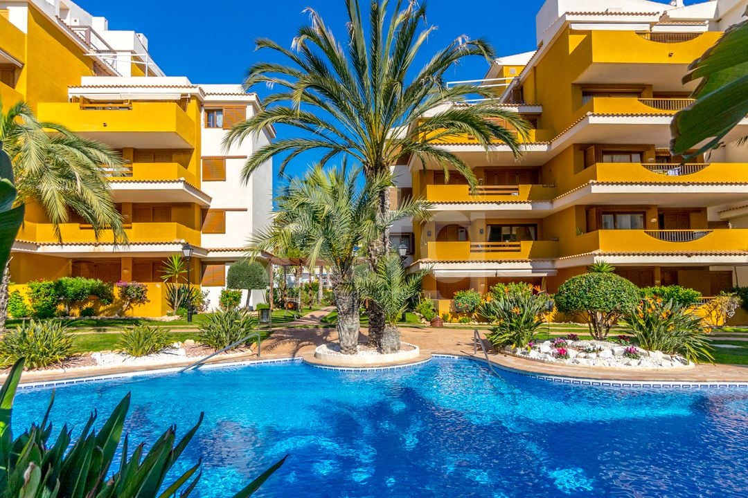 2 bedroom Apartment in Torrevieja - B135926 - Photo - 33