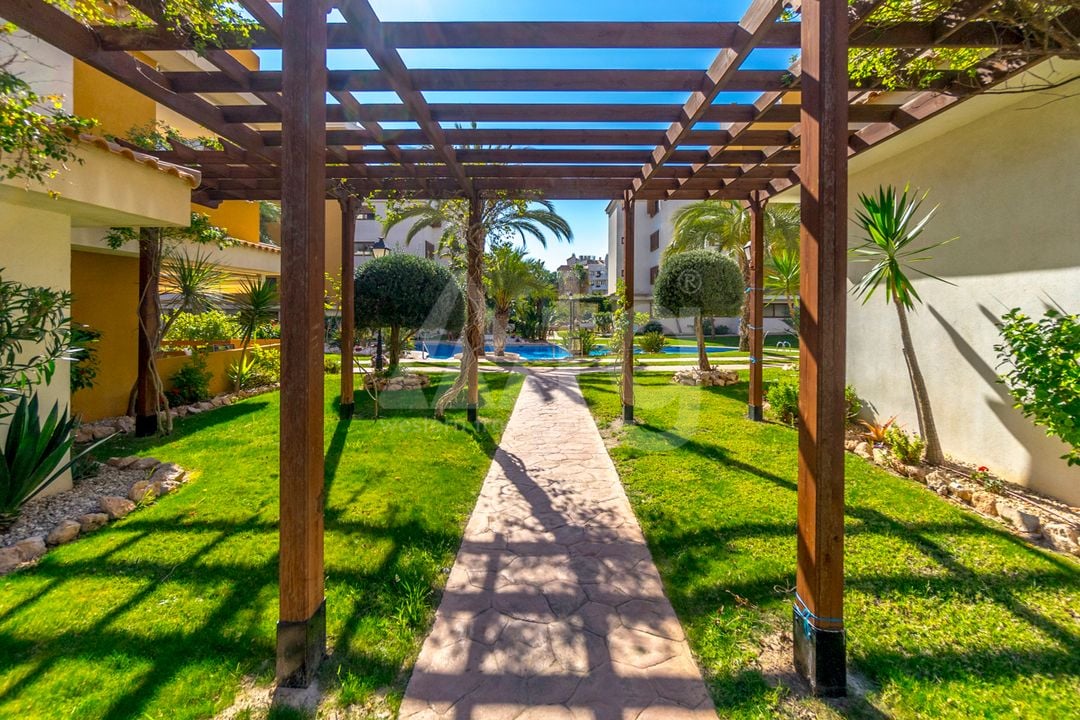 2 bedroom Apartment in Torrevieja - B135926 - Photo - 30