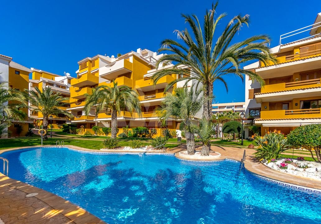 2 bedroom Apartment in Torrevieja - B135926 - Photo - 2