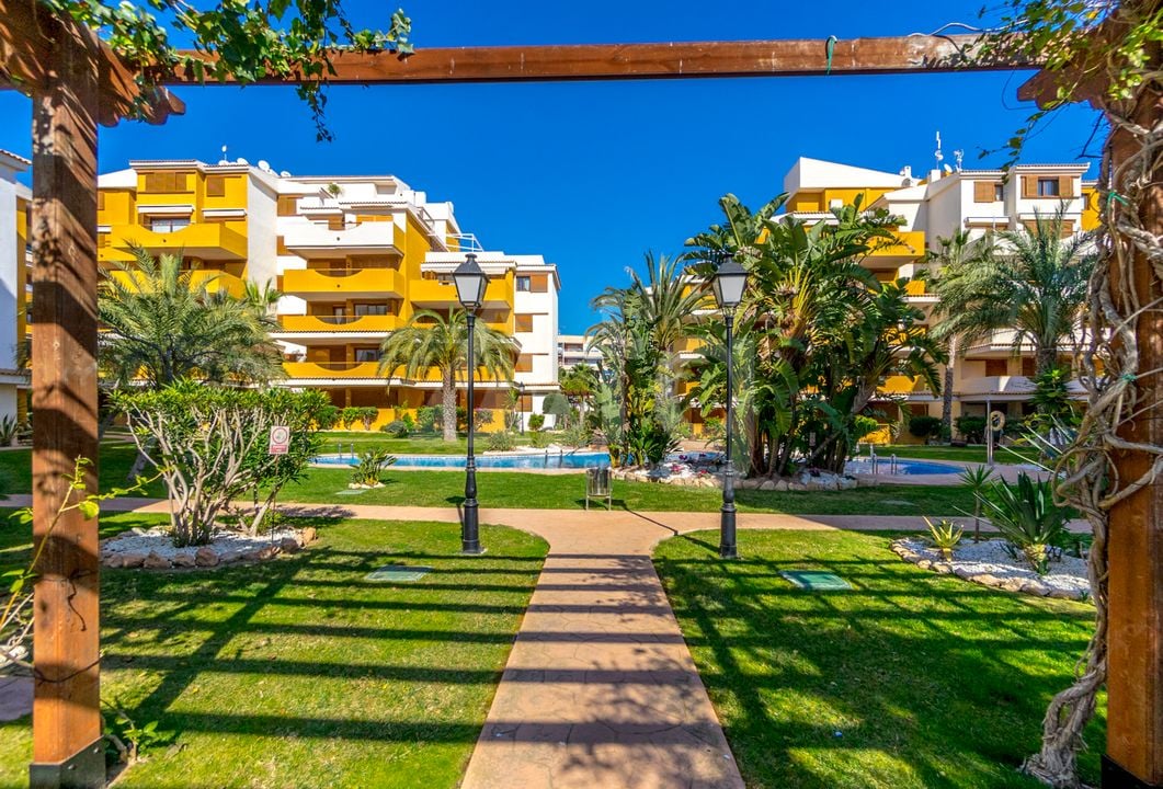 2 bedroom Apartment in Torrevieja - B135926 - Photo - 31