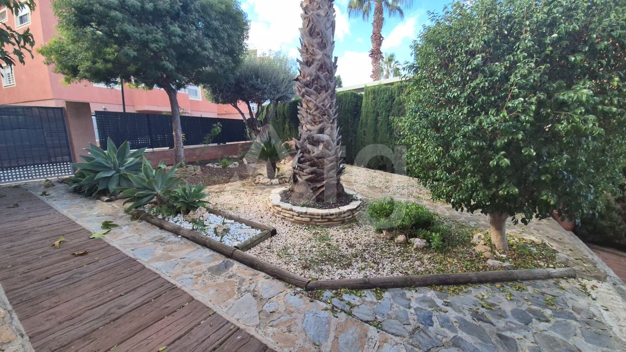 Villa de 3 chambres à Murcia - SPB117187 - Photo - 10