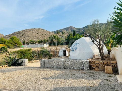 Vilă cu 4 dormitoare în Orihuela - DPR117270 - Imagini - 22