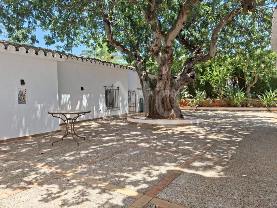 Villa de 3 chambres à Denia - DINV117477 - Photo - 44