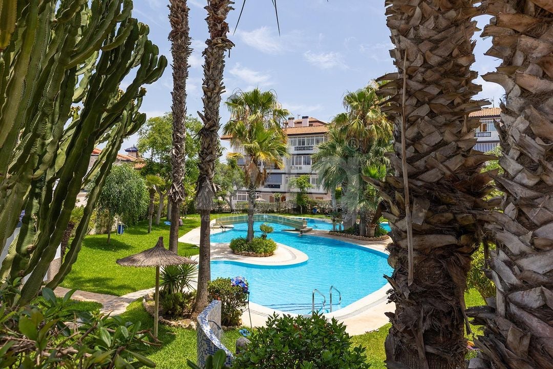 2 bedroom Townhouse in La Mata - TWTG160638 - Photo - 3