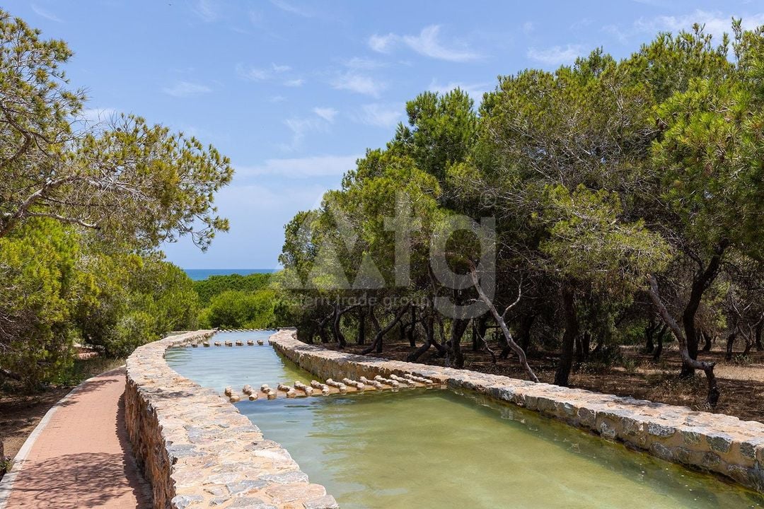 2 bedroom Townhouse in La Mata - TWTG160638 - Photo - 38