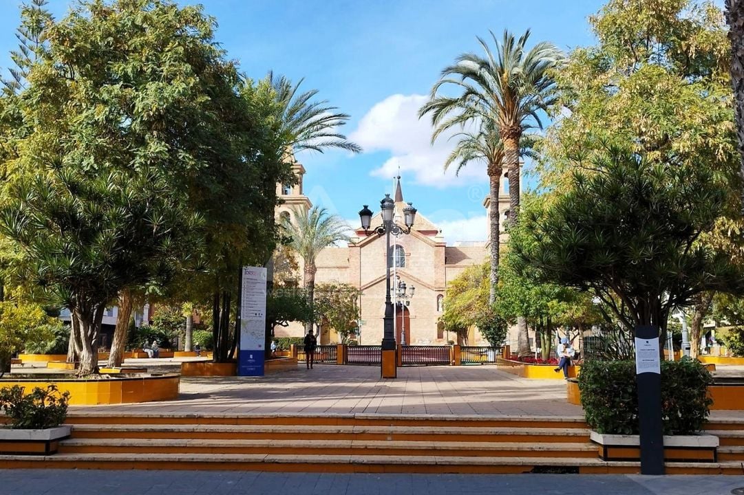 3 bedroom Apartment in Torrevieja - SV138612 - Photo - 33
