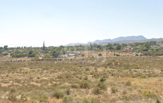  Plot in Elche- DPR119035 - Photo - 1