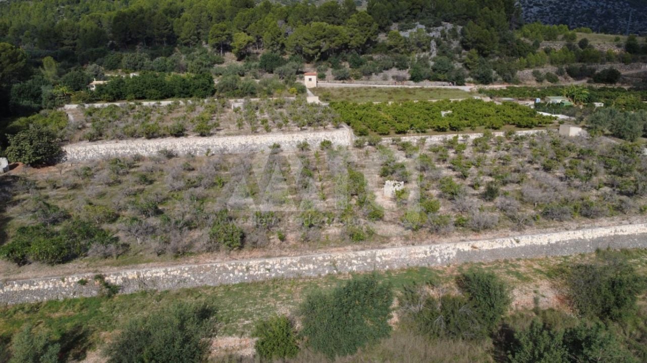  Grundstück in Orba- PGP119131 - Foto - 3