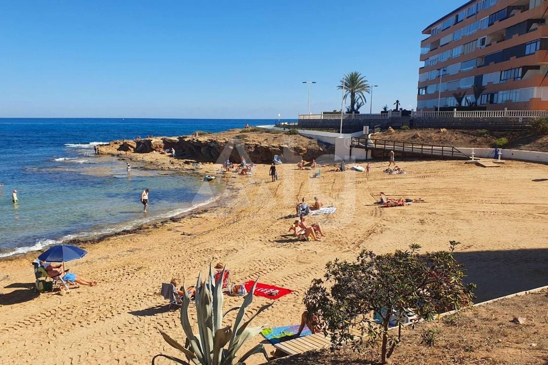 2 bedroom Apartment in Torrevieja - SV136567 - Photo - 34