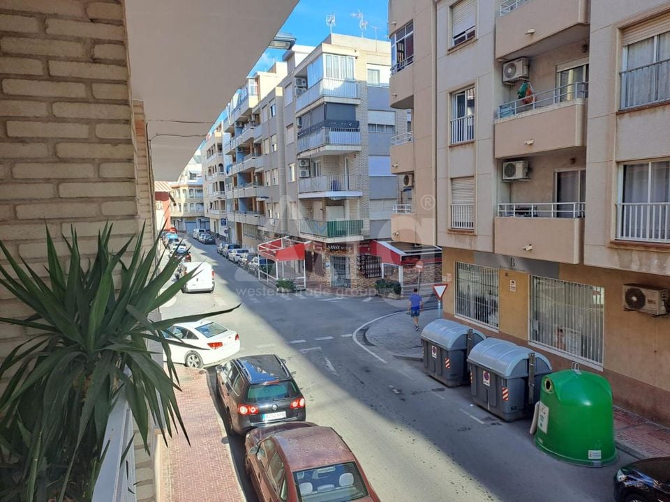 Appartement de 3 chambres à Torrevieja - ET120945 - Photo - 25