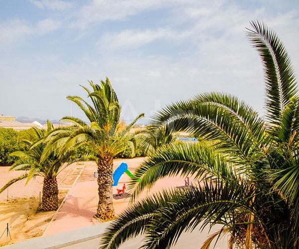 2 bedroom Apartment in Torrevieja - ET120962 - Photo - 17