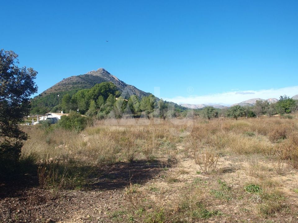 Terrain de  à Murla- PGP123019 - Photo - 1